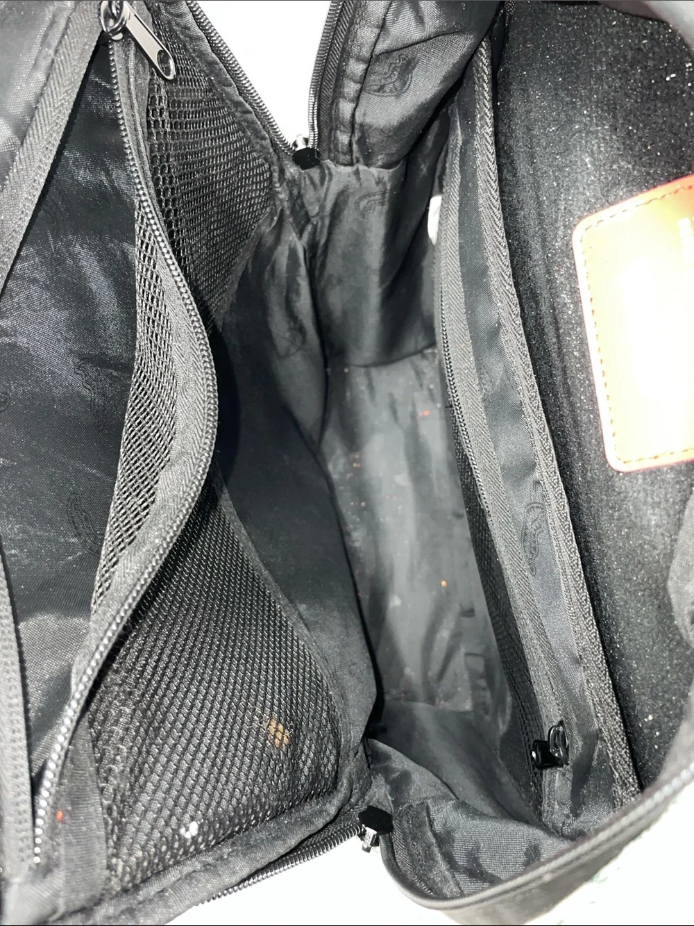 Sprayground money bear