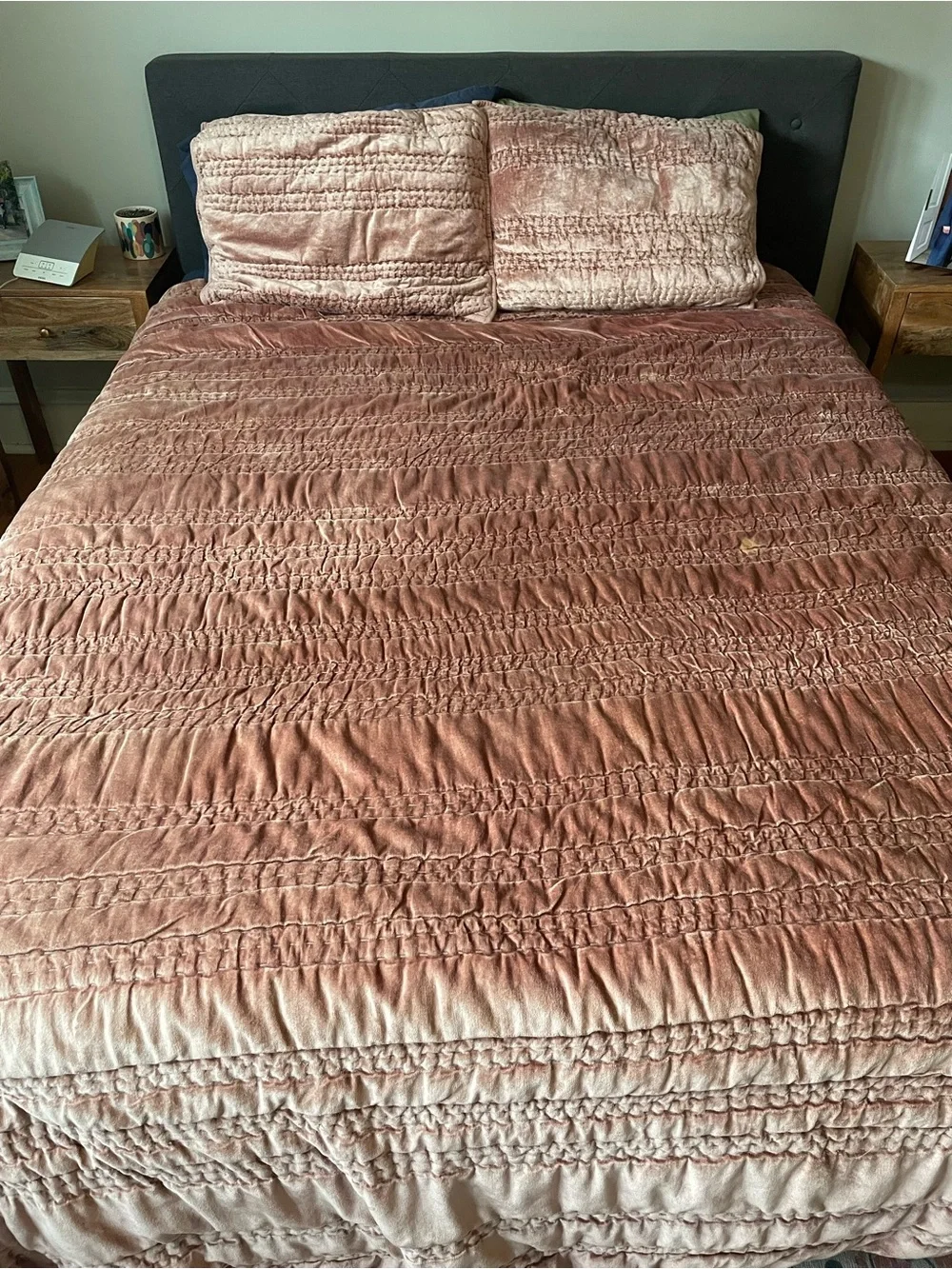 Anthropologie Lustered Velvet Alastair Quilt & Shams