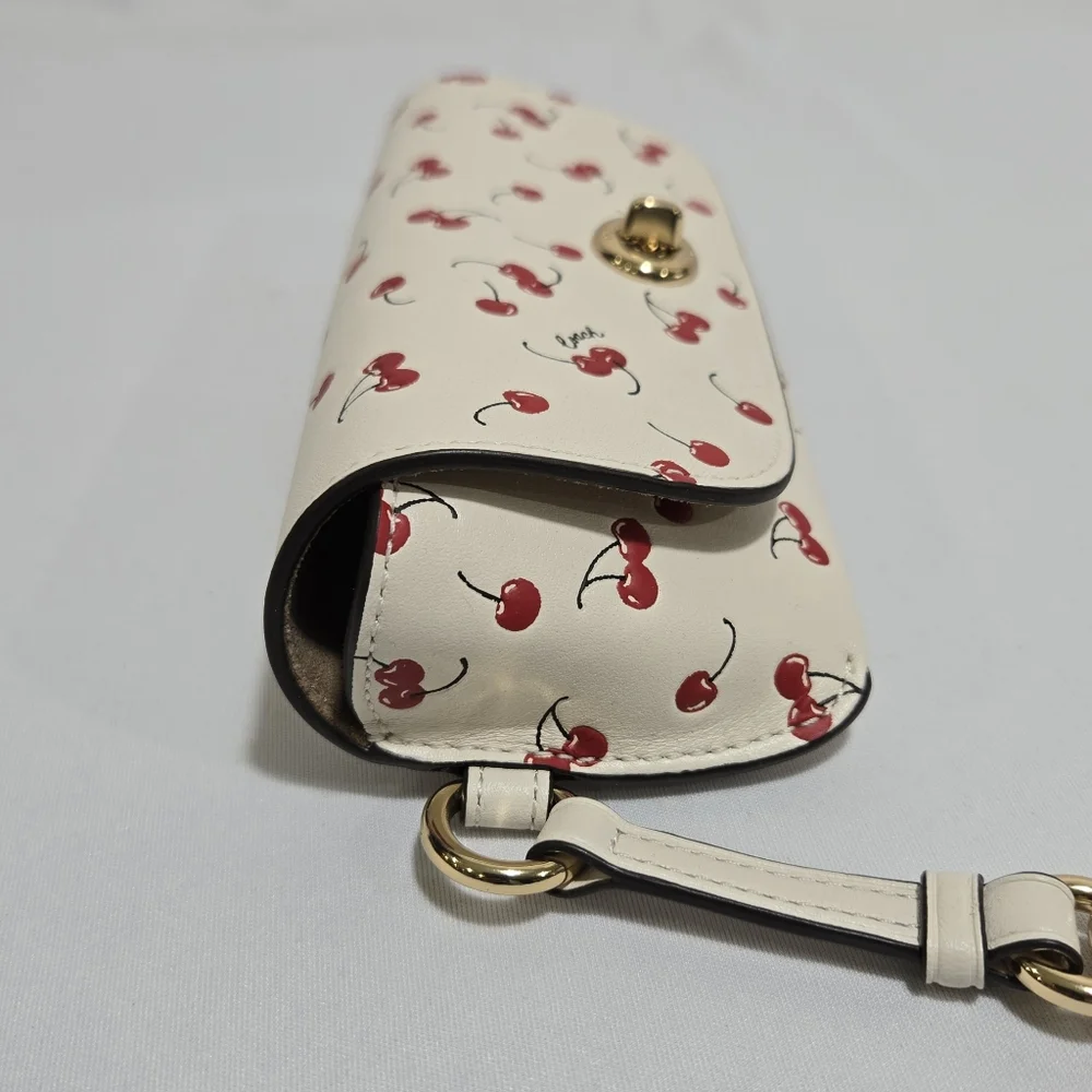 Coach sunglass case