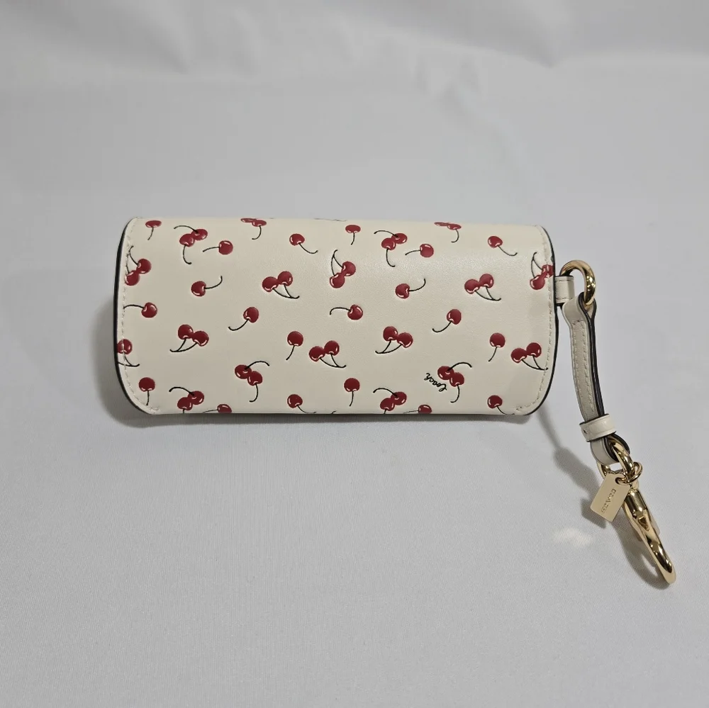 Coach sunglass case