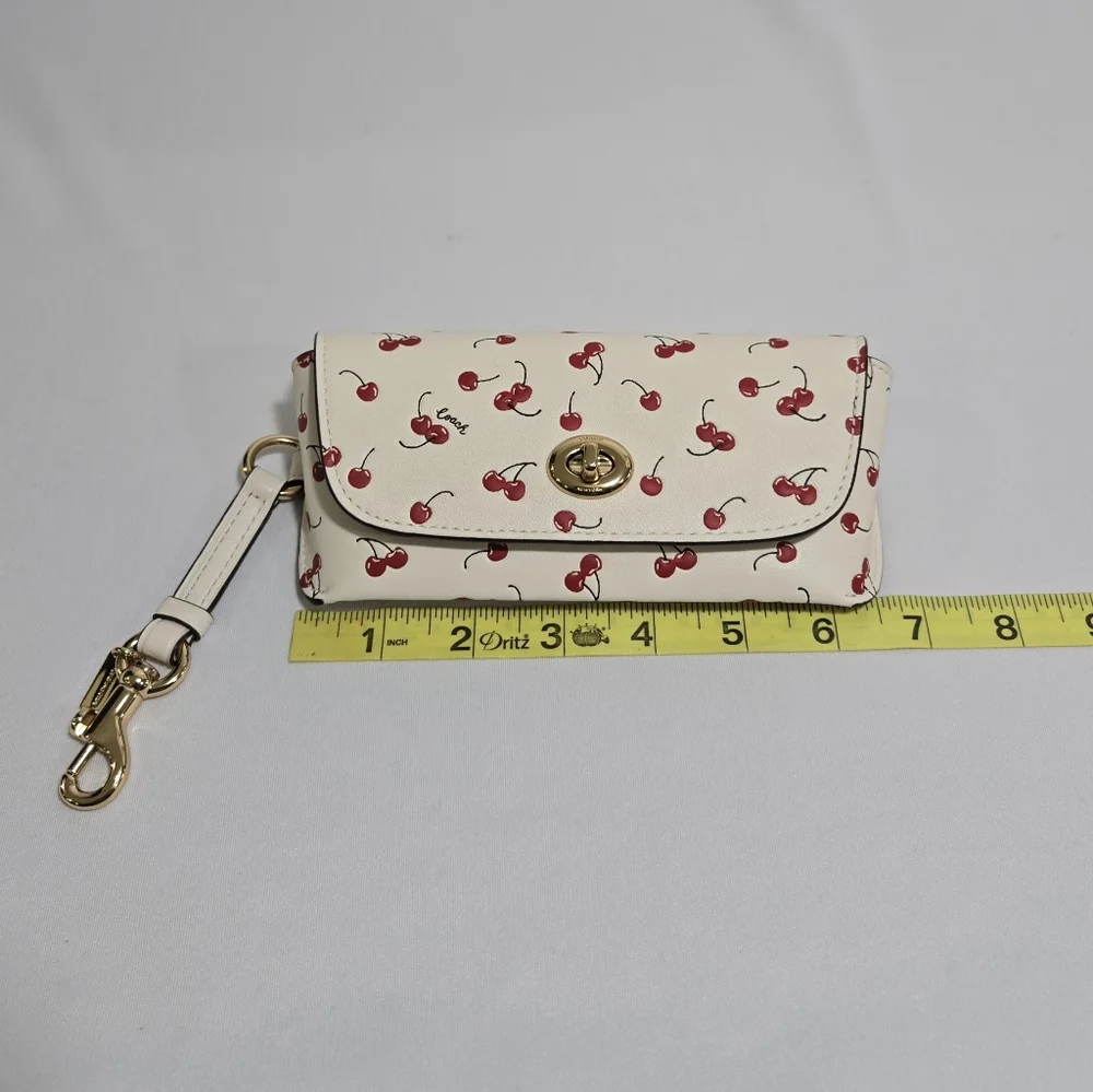 Coach sunglass case