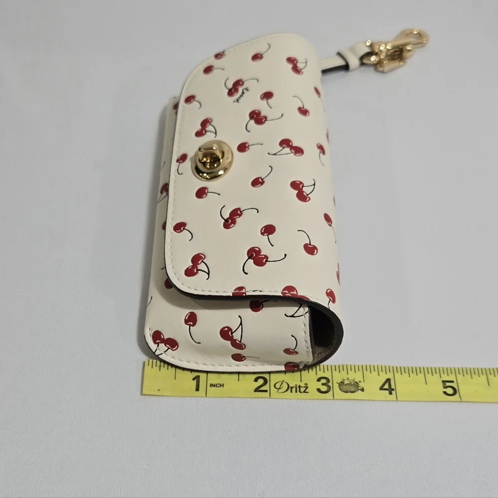Coach sunglass case