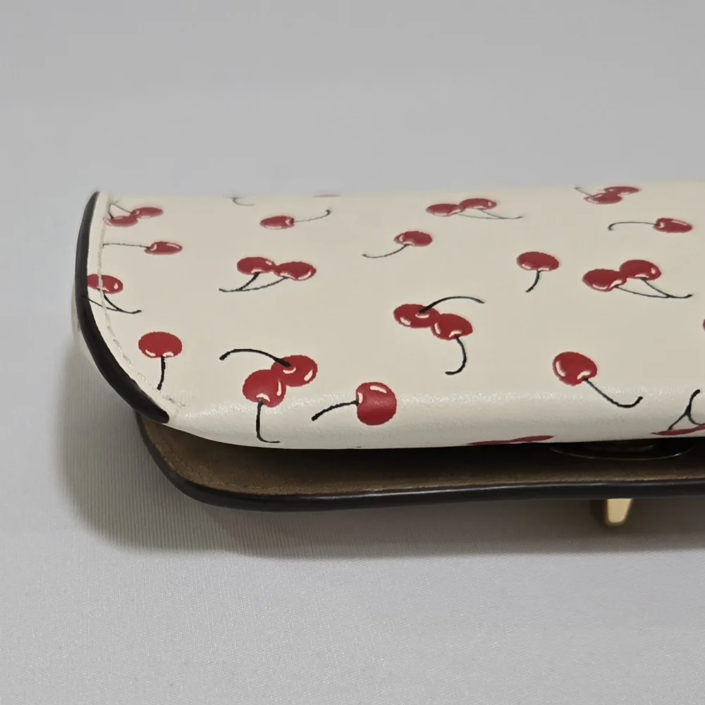 Coach sunglass case