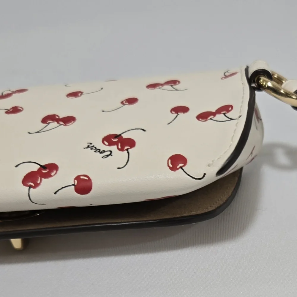 Coach sunglass case