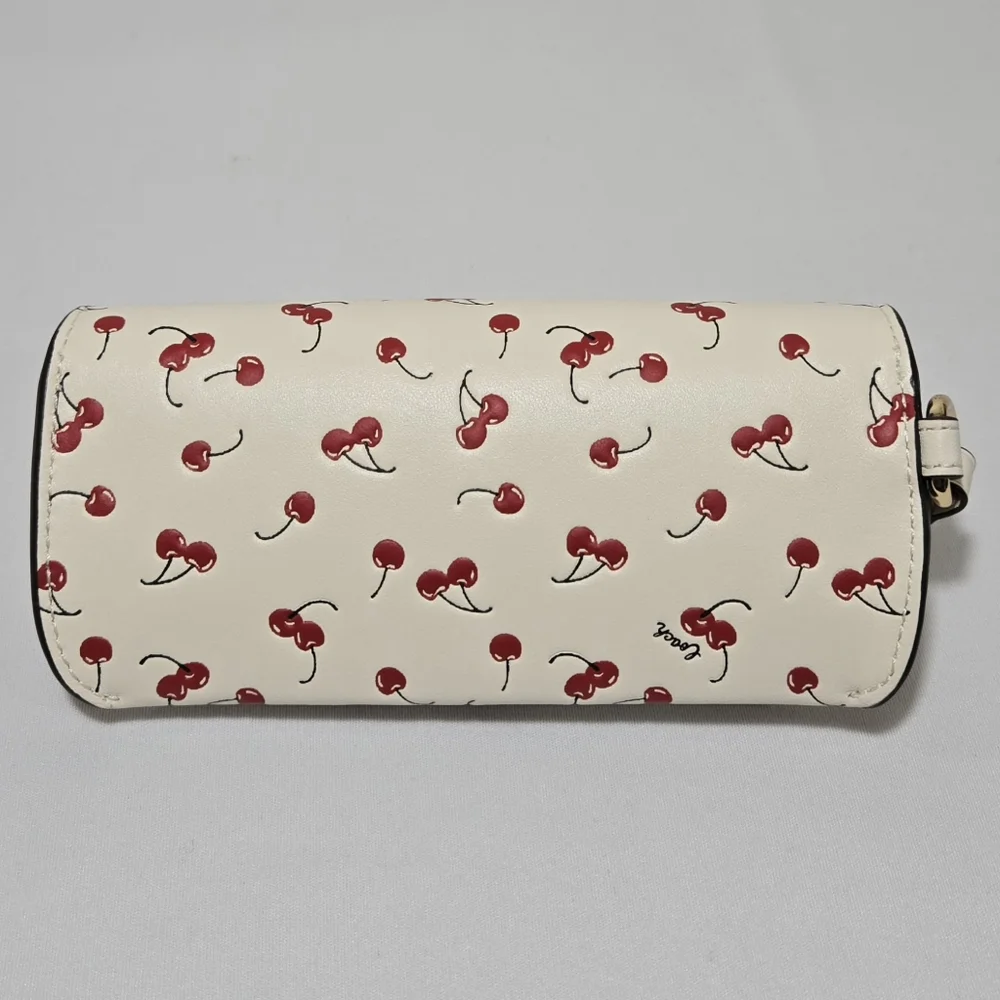 Coach sunglass case