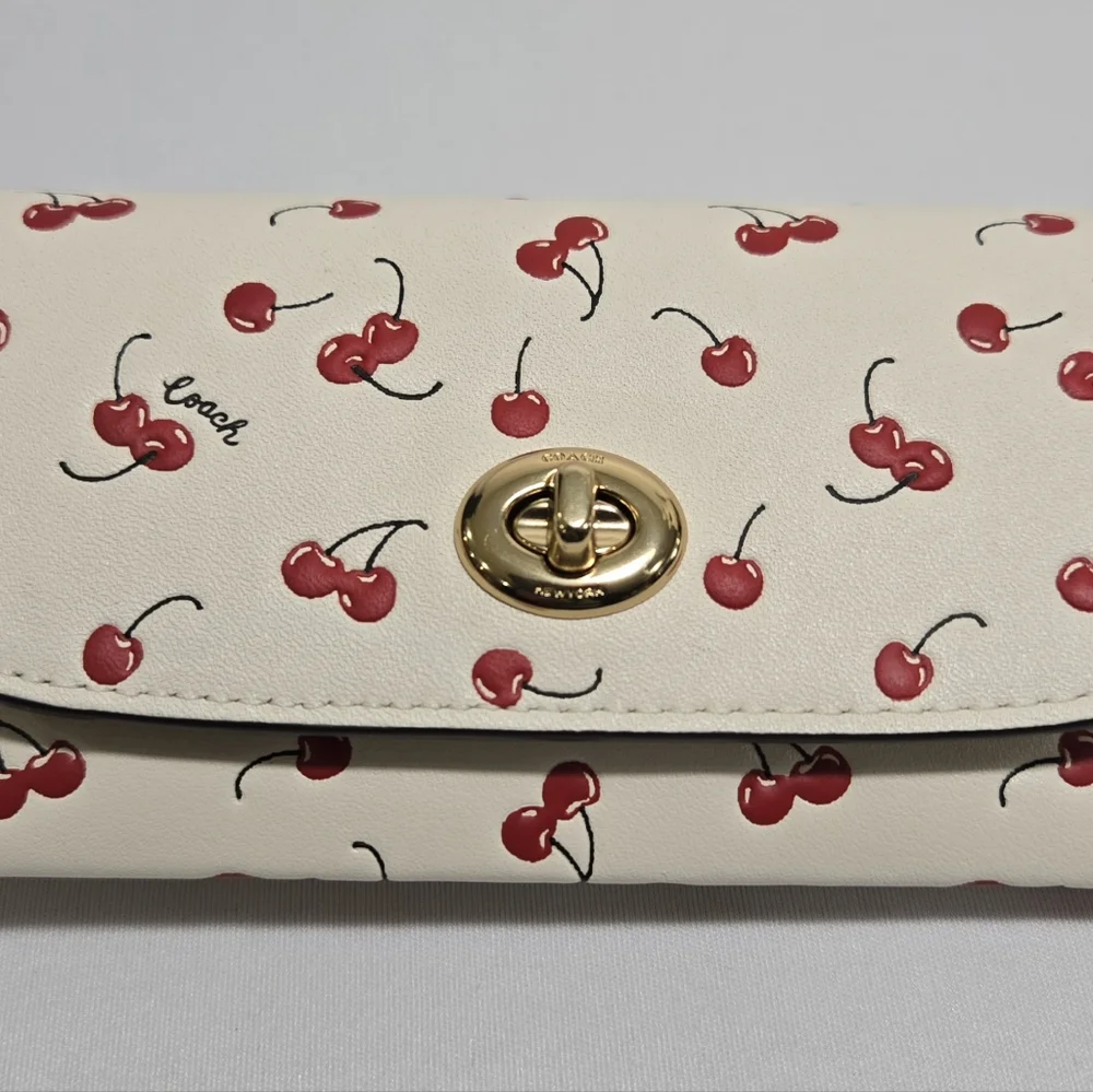 Coach sunglass case