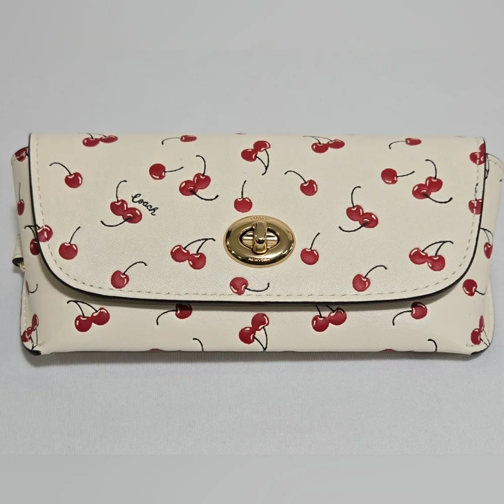 Coach sunglass case