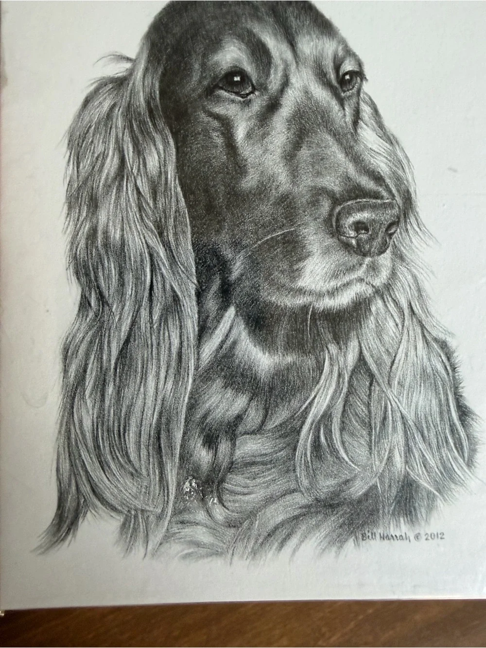 Wolf Run Studios irish setter