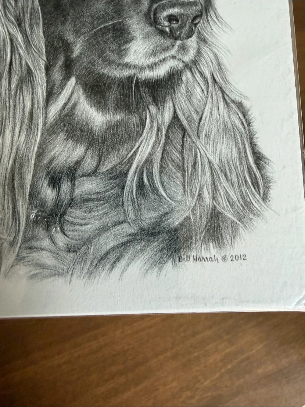 Wolf Run Studios irish setter