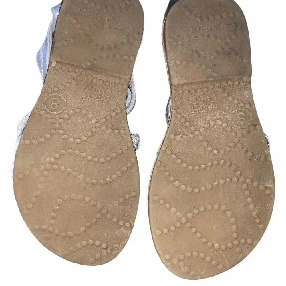 Harper Canyon silver gladiator
