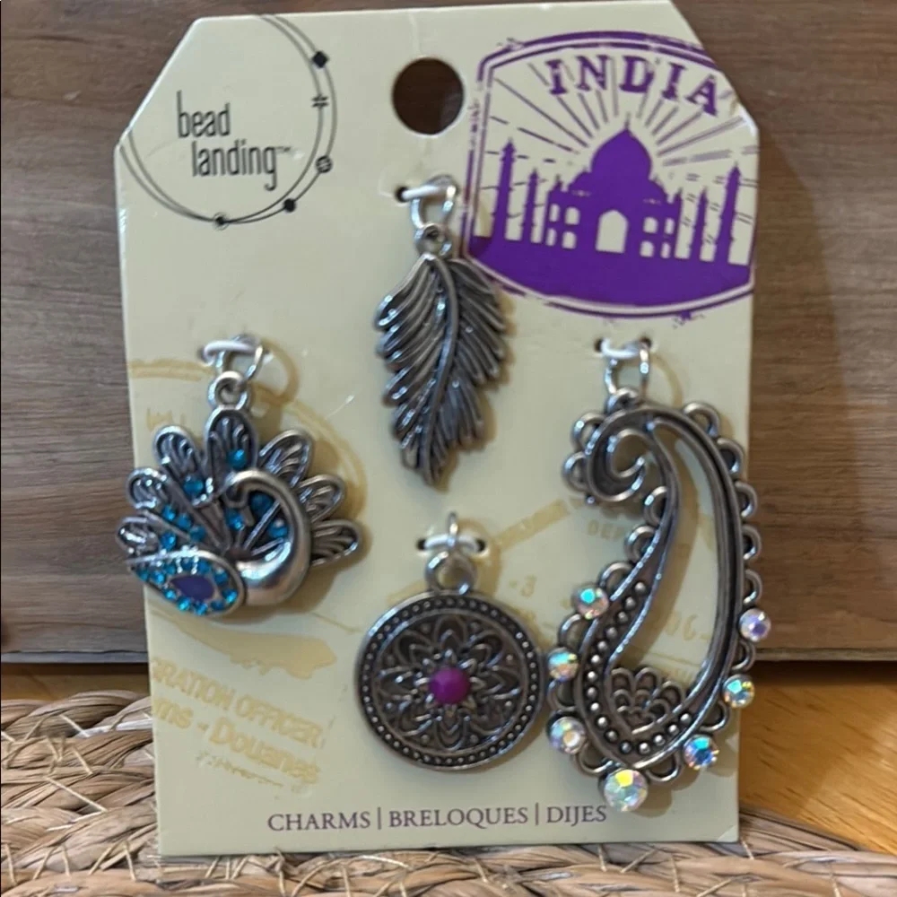 Bead Landing India Charms Set - Silver and Multicolor