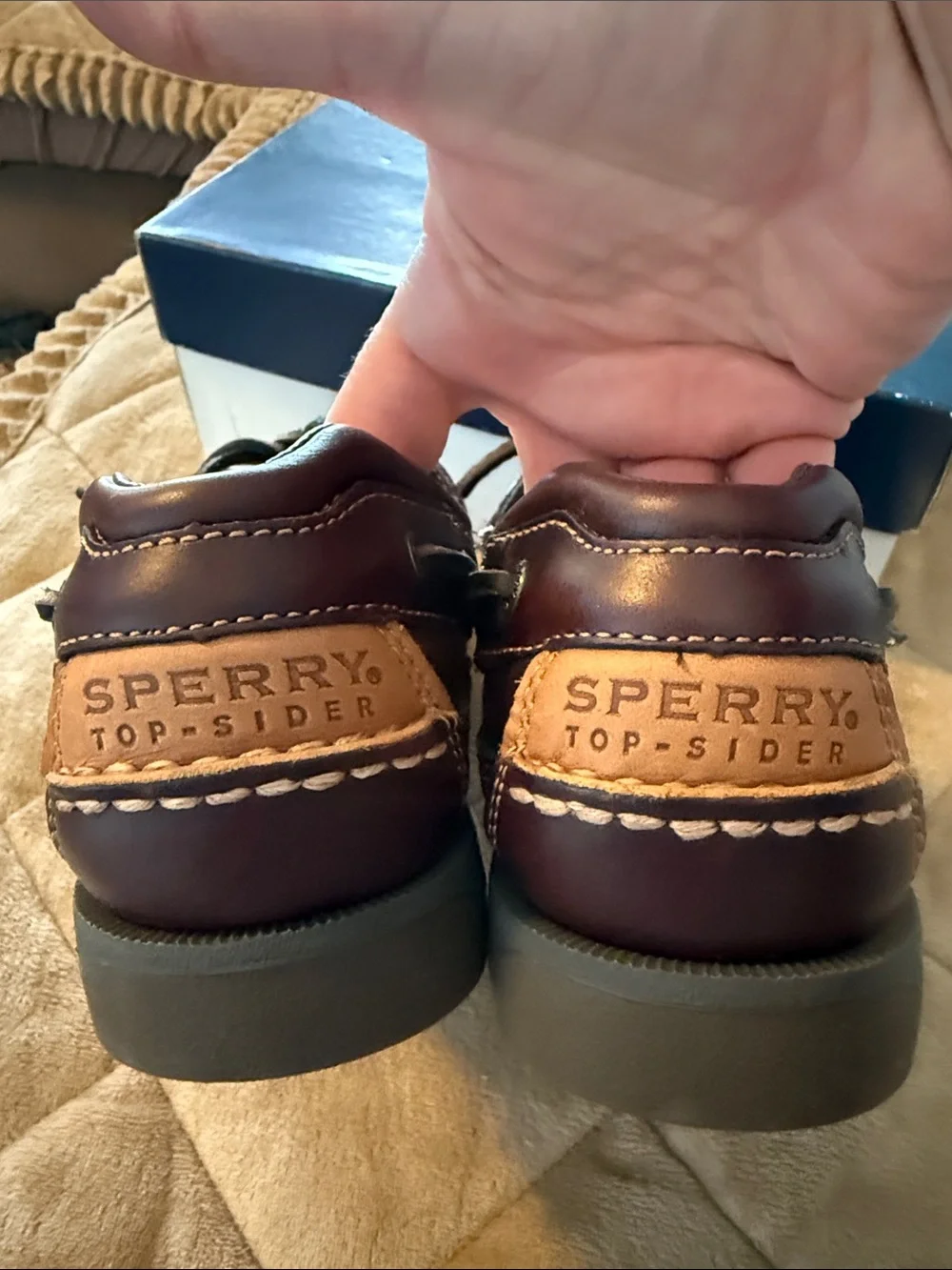 Sperry rich dark