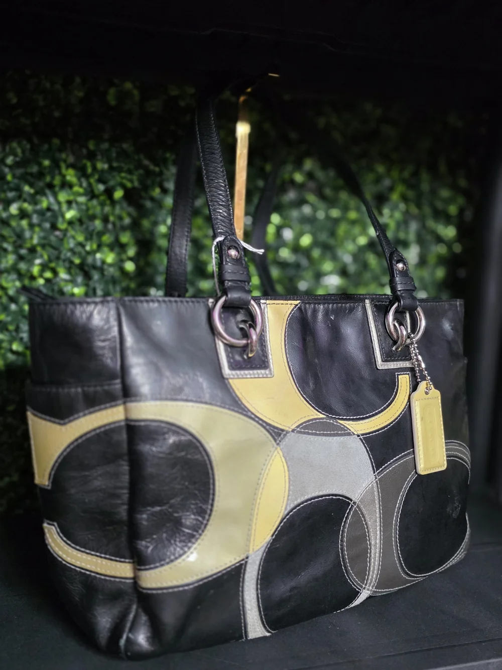 Coach ​y2k inlaid