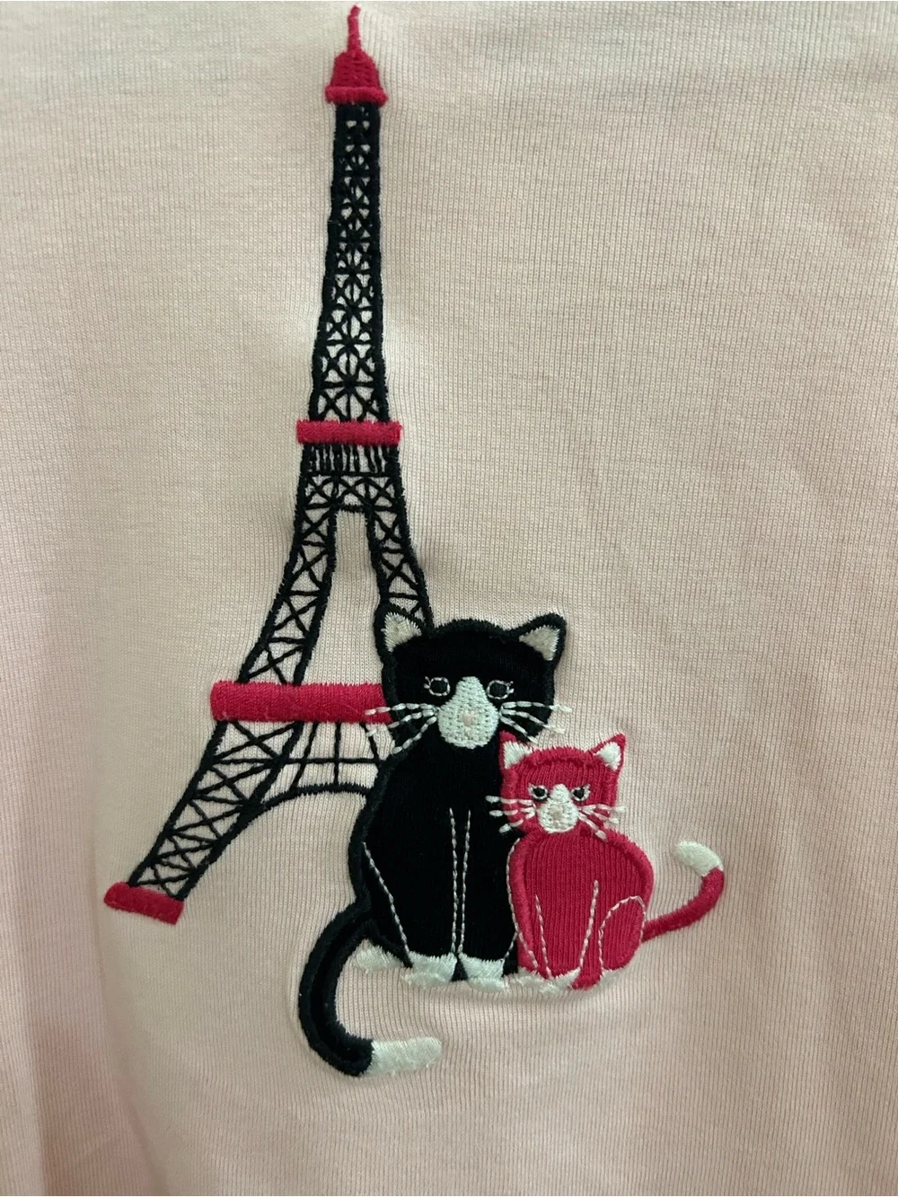 Gymboree Paris Cat Outfit Size 3T 2-Piece Set