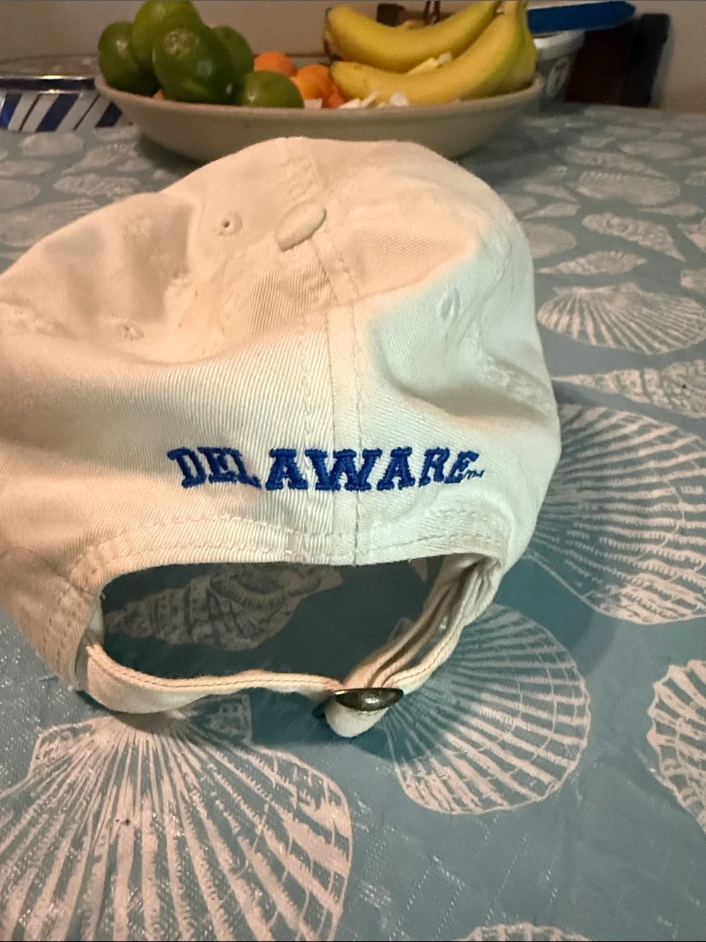 Legacy university delaware