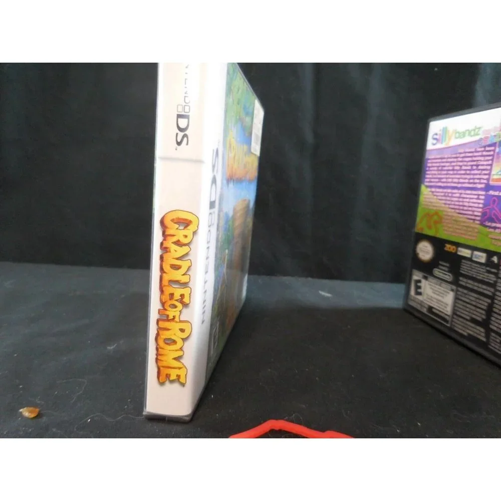 Nintendo ds silly