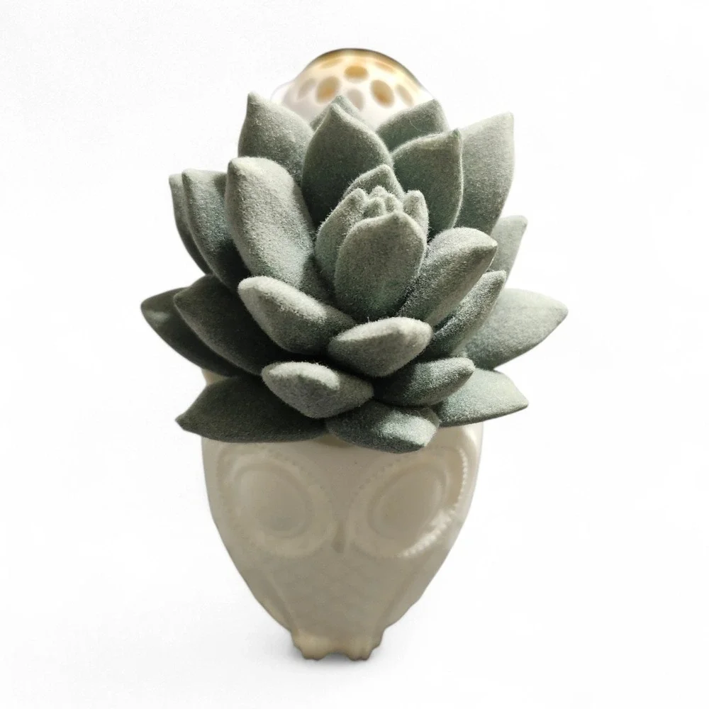 Bath‎ & Body Works Wallflowers Fragrance Plug Snail Succulent White Green Decor