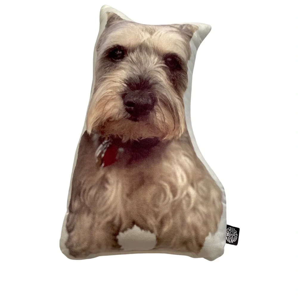 All About Vibe m0170 design adorable