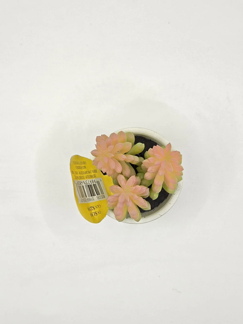 FREE Add-On With $20 Purchase Mini Faux Succulent In Ceramic Pot.