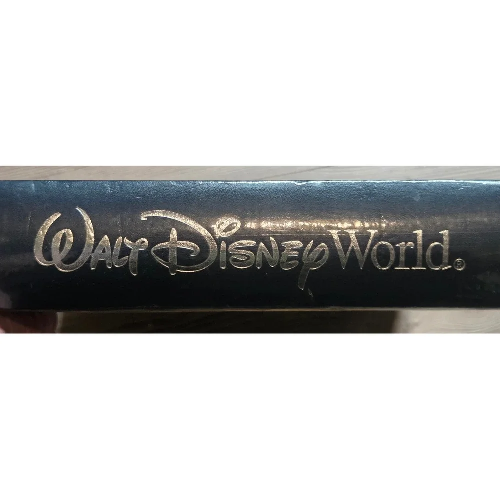 Disney future measurements our