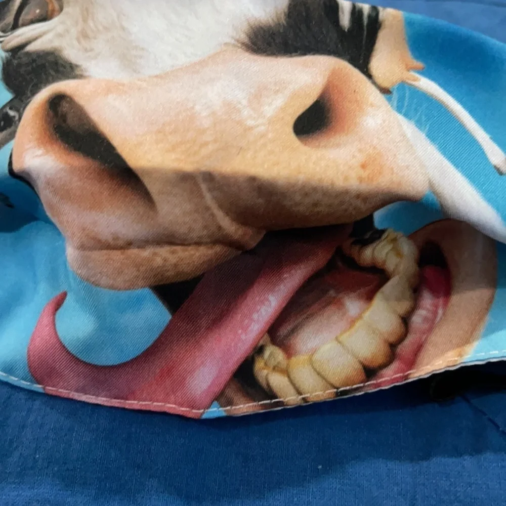 N/A new cow