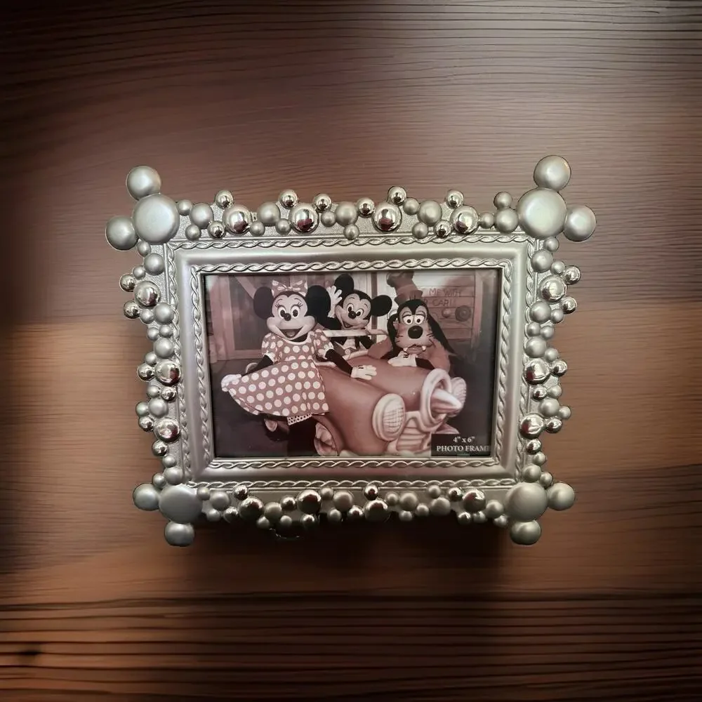 Disney parks silver