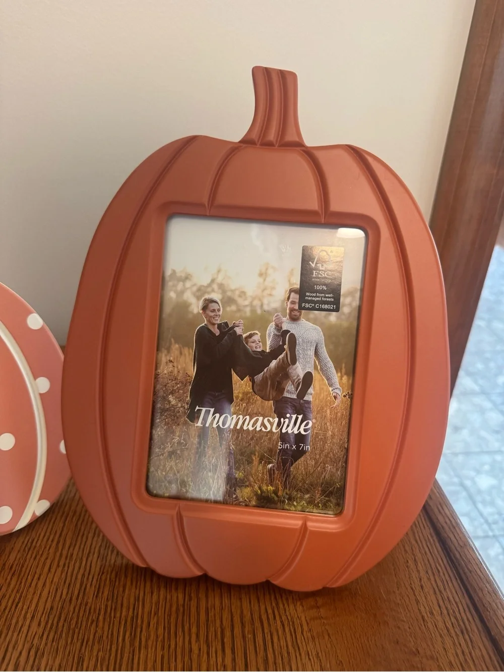 THOMASVILLE FALL/HALLOWEEN ORANGE PUMPKIN/POLKA DOT  PICTURE FRAMES NEW
