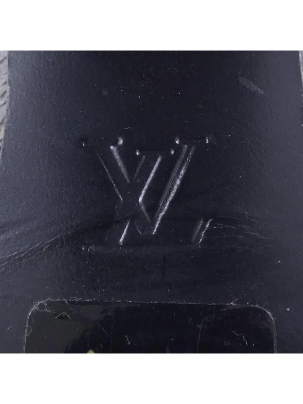 Louis Vuitton brand louis