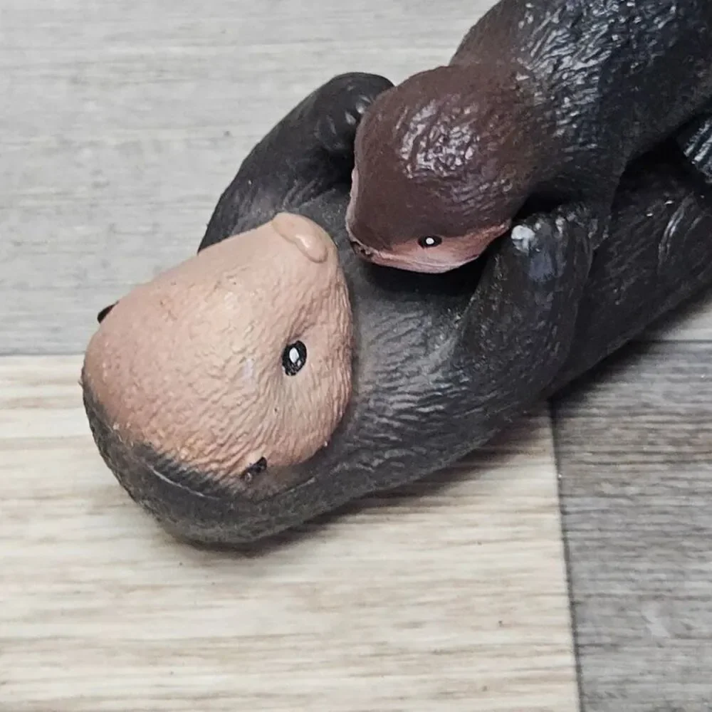 N/A sea otter