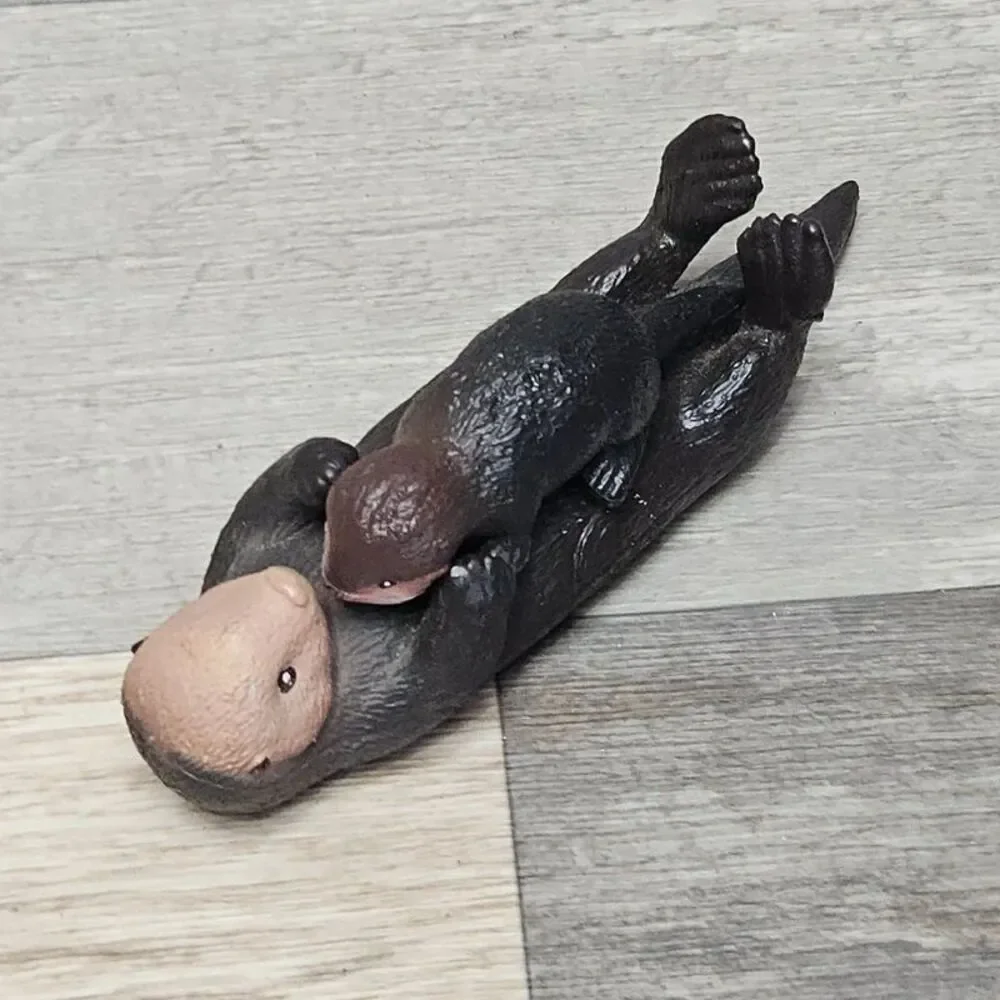 N/A sea otter