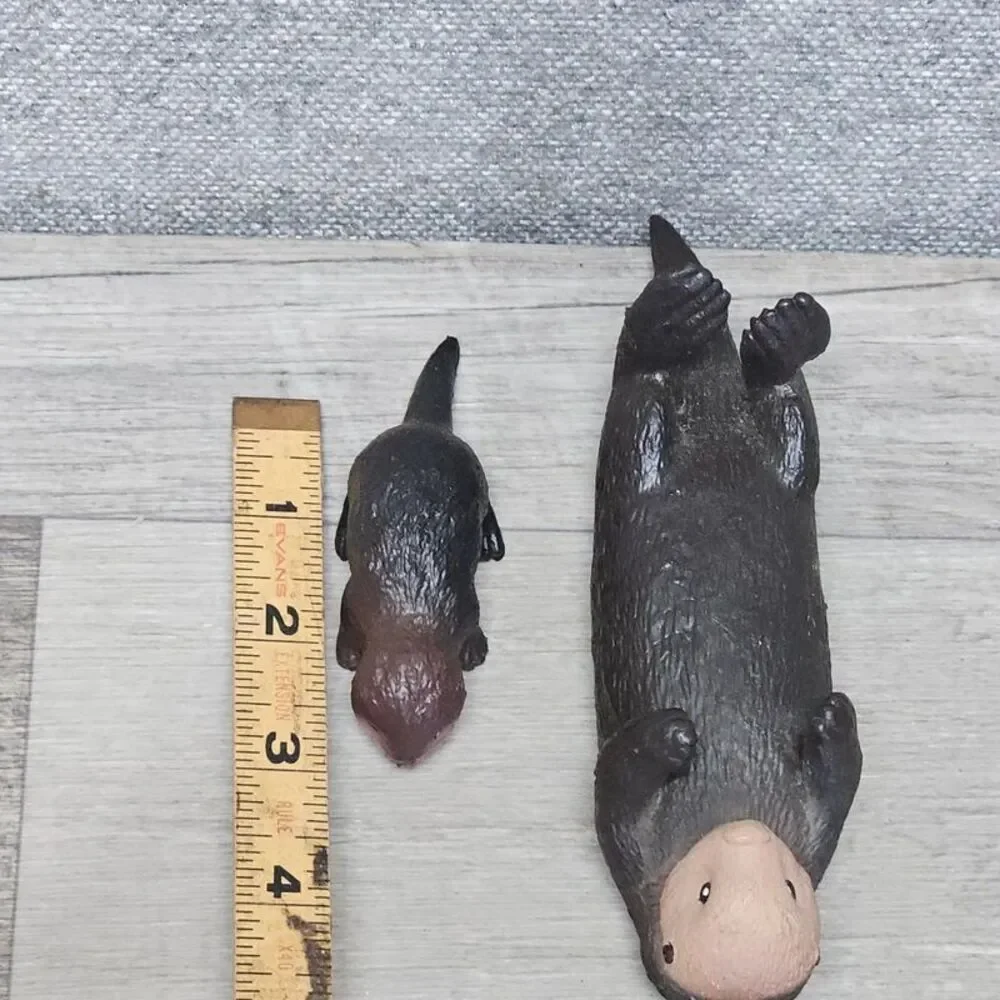 N/A sea otter