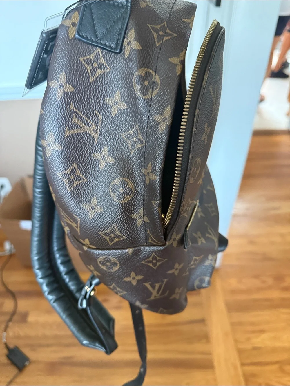 Louis Vuitton classic louis