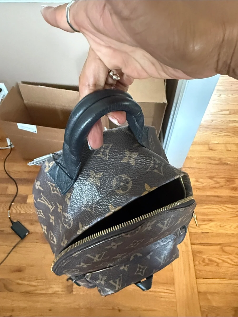 Louis Vuitton classic louis