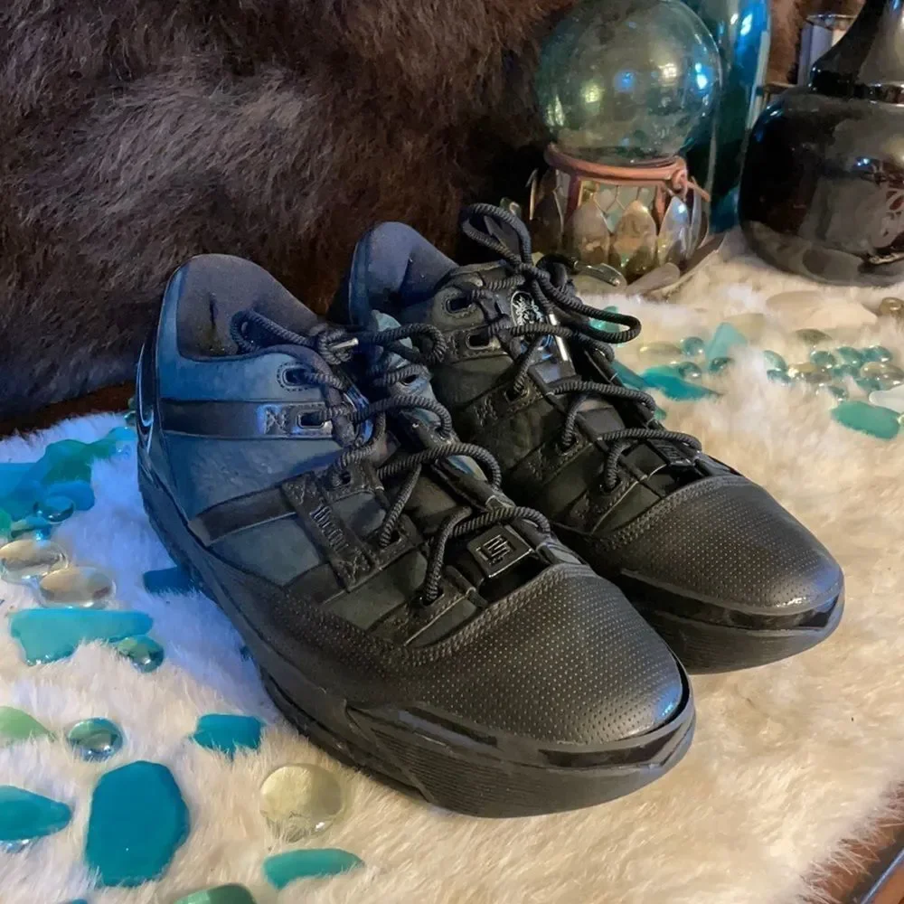 Nike LeBron shoes 10 (4568)