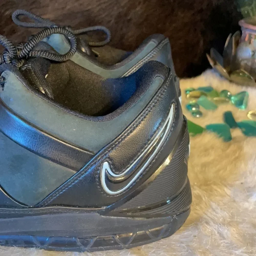 Nike great lebron