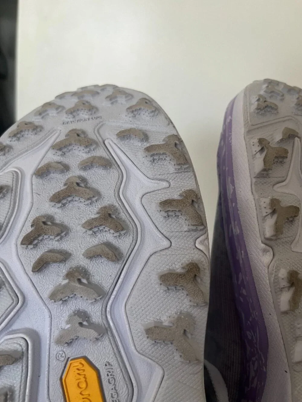 Hoka women speedgoat