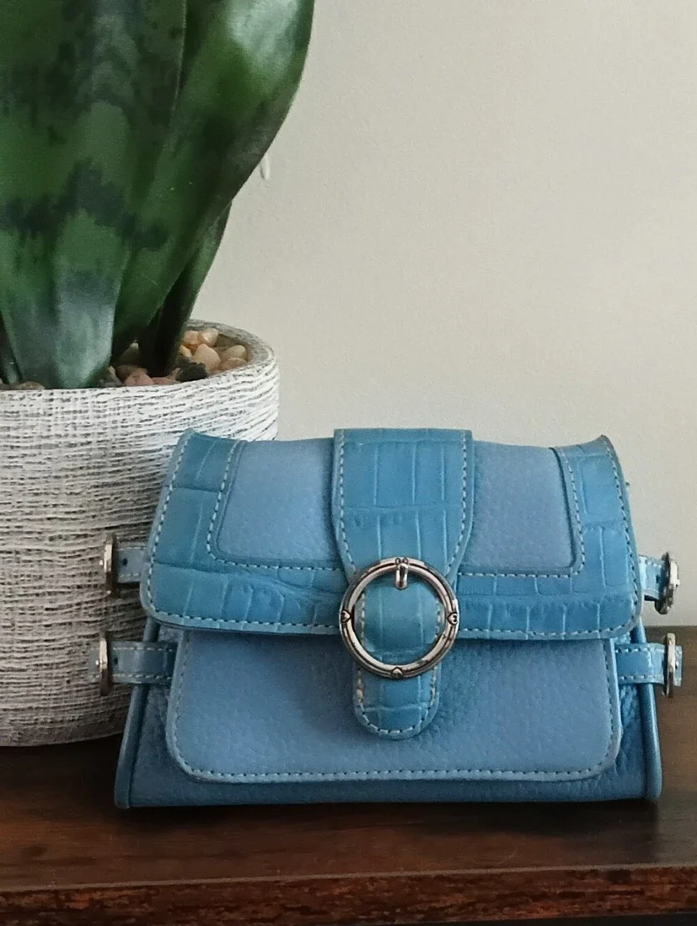 Brighton Mini Clutch/Crossbody