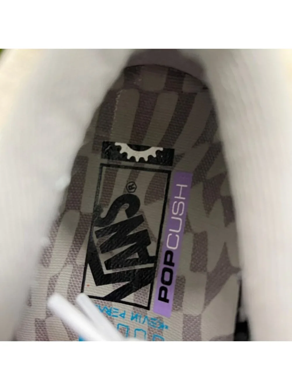 Vans thanks shown