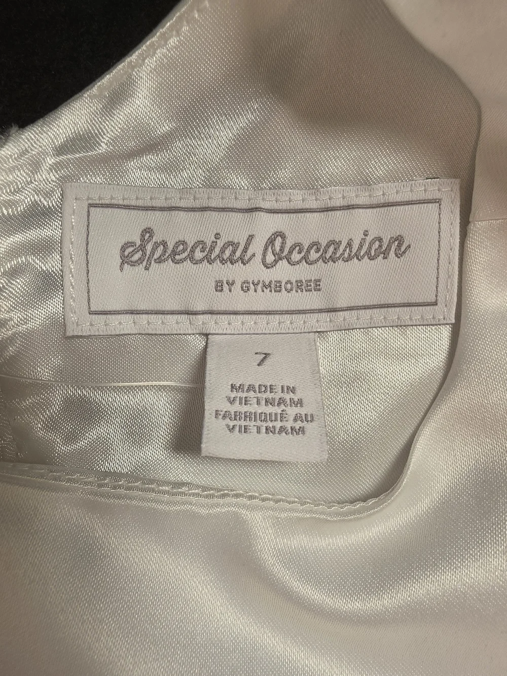Gymboree satin bodice
