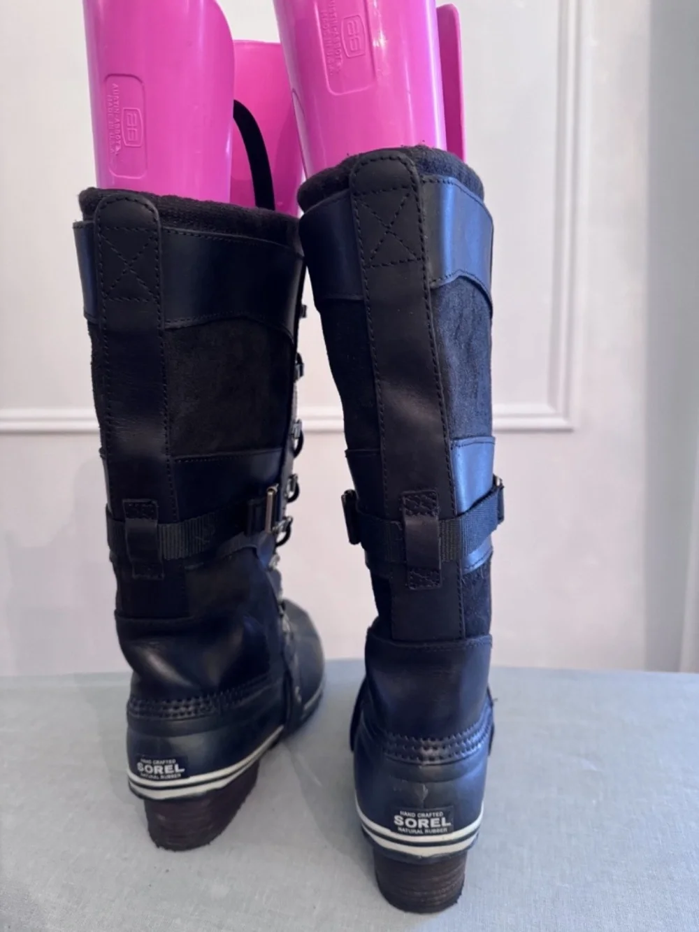 Sorel conquest carly