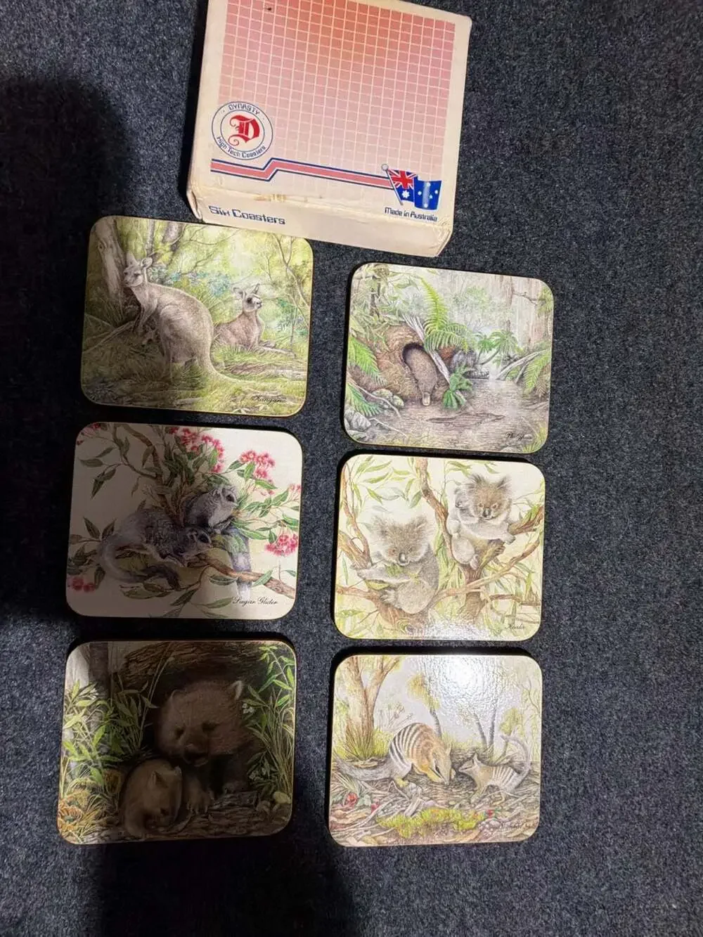dynasty australia wildlife