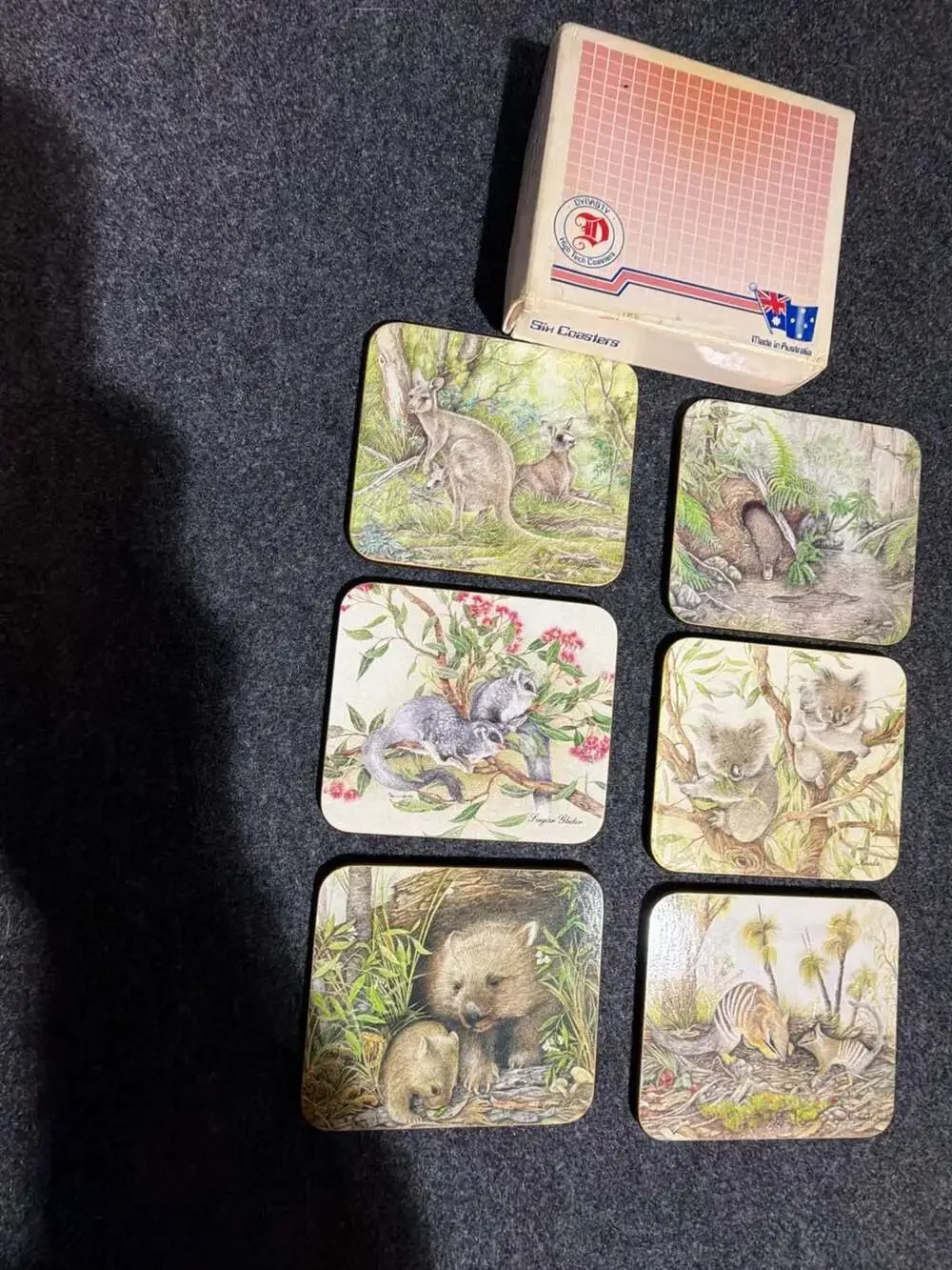 dynasty australia wildlife