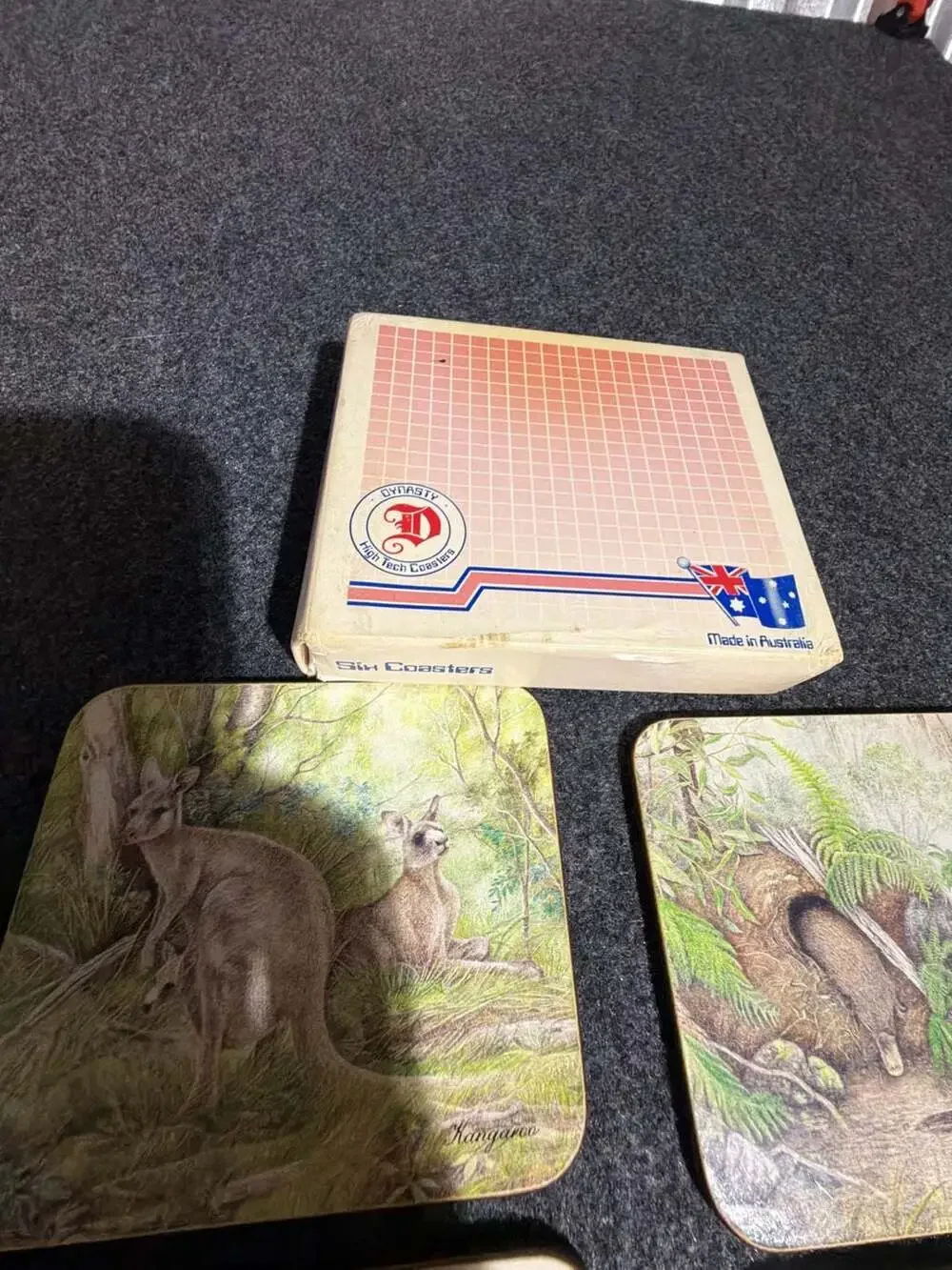 dynasty australia wildlife