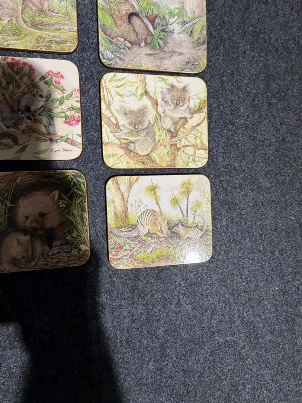 dynasty australia wildlife