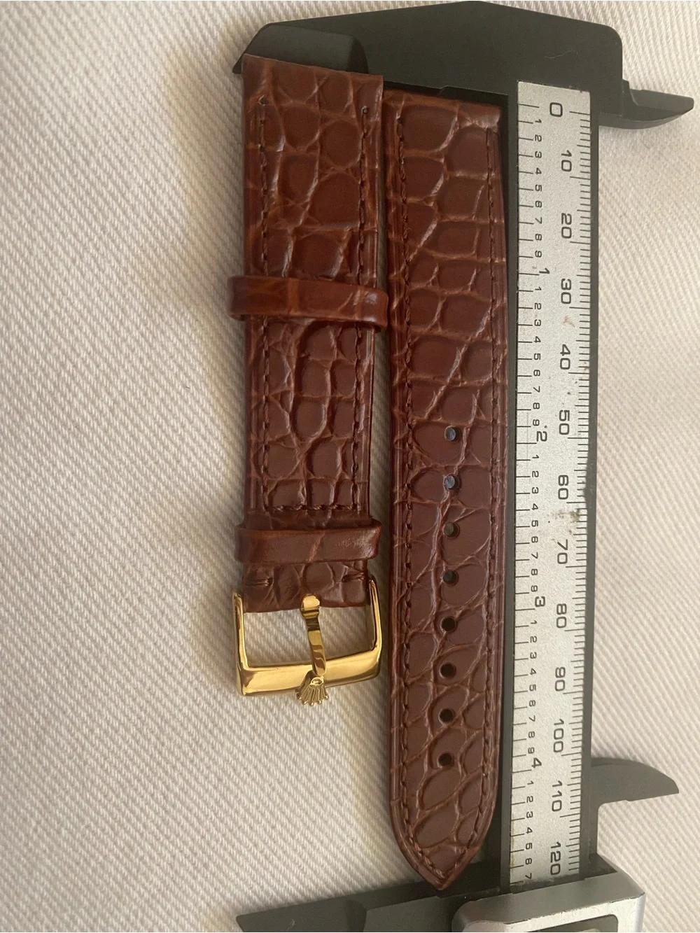 Rolex branded brown