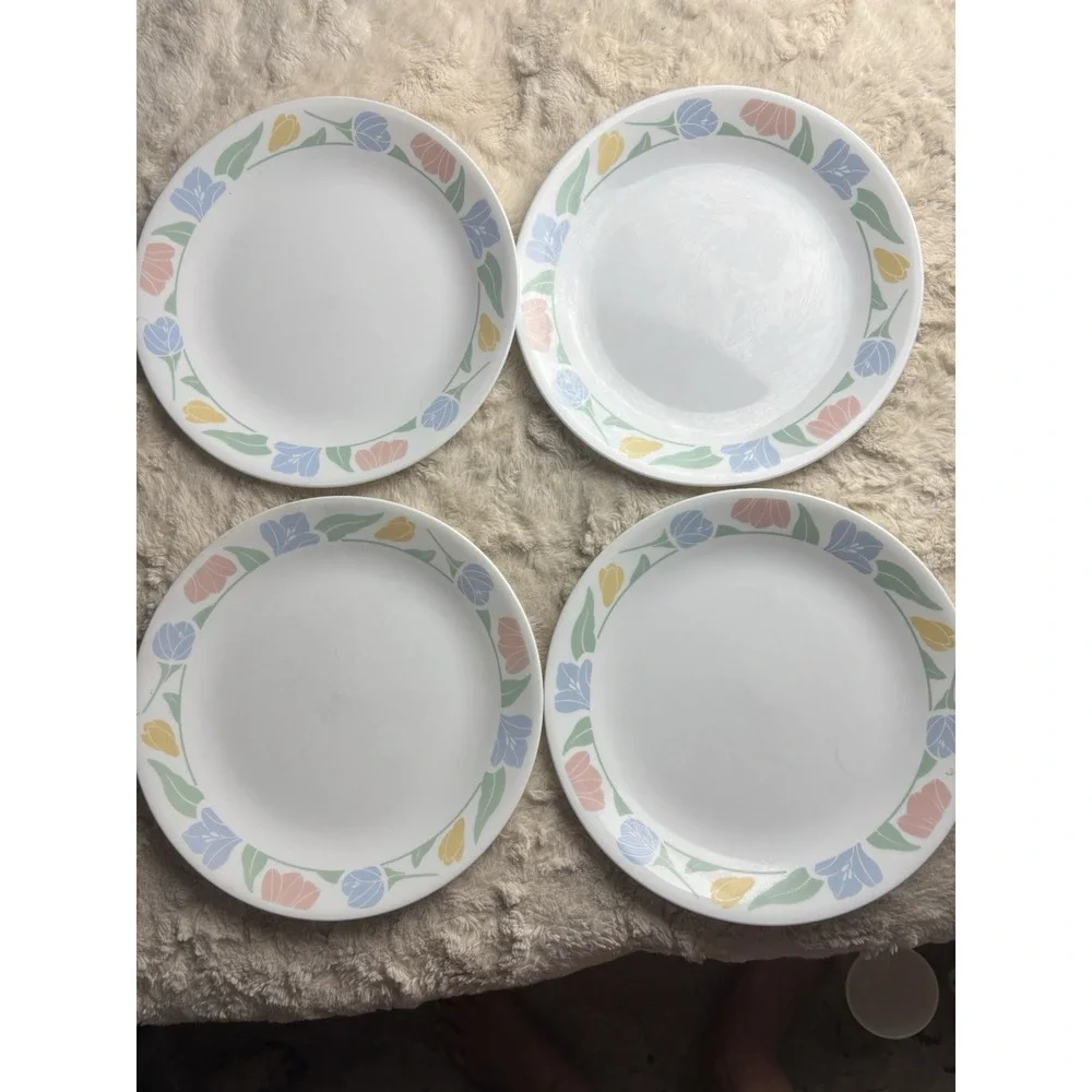 Corelle‎ Friendship Dinner Plates 10.25
