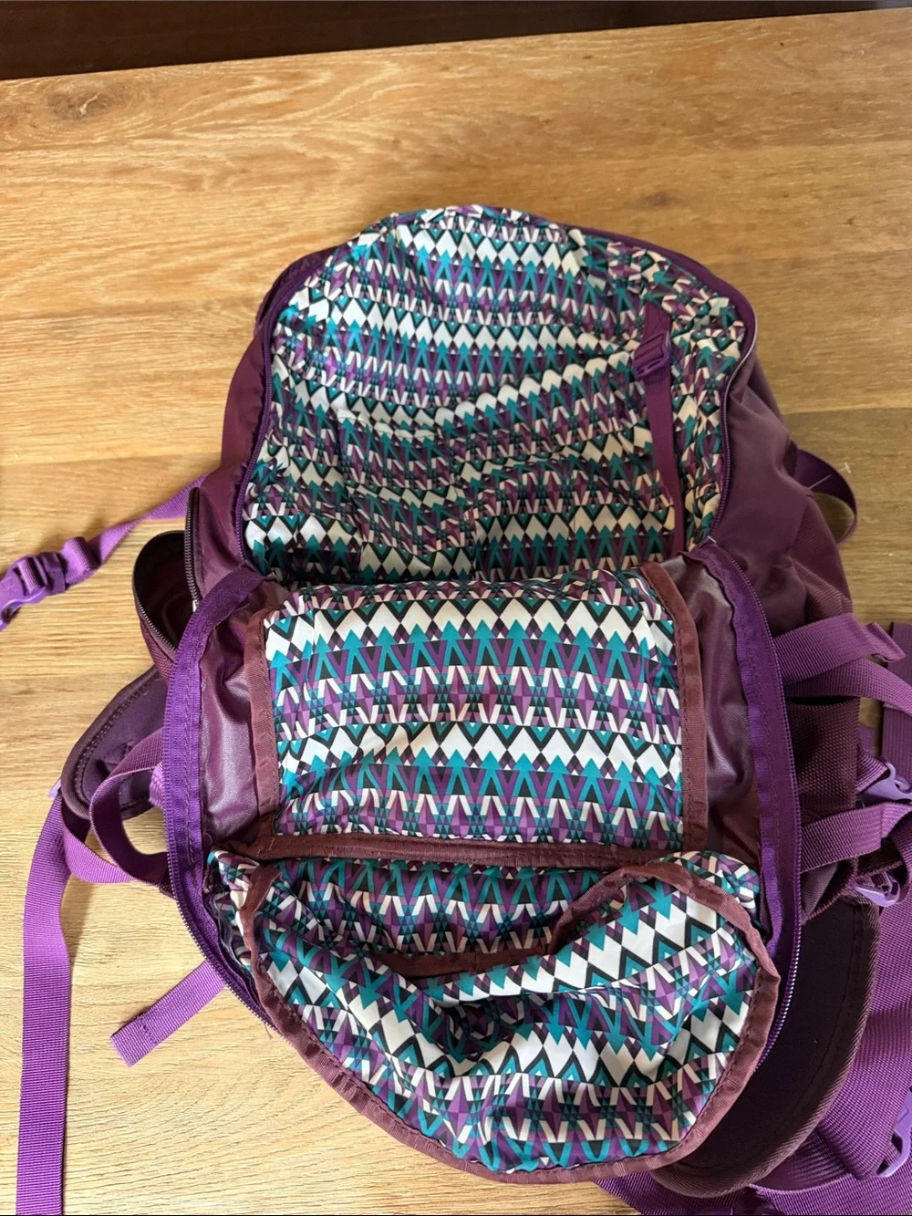 Dakine Purple Pro II Backpack with Teal Accent 26L snowboarding/skiing