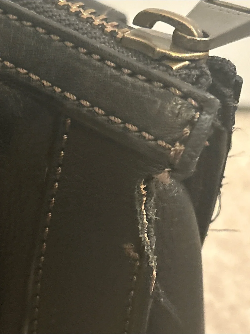 Fossil dark brown