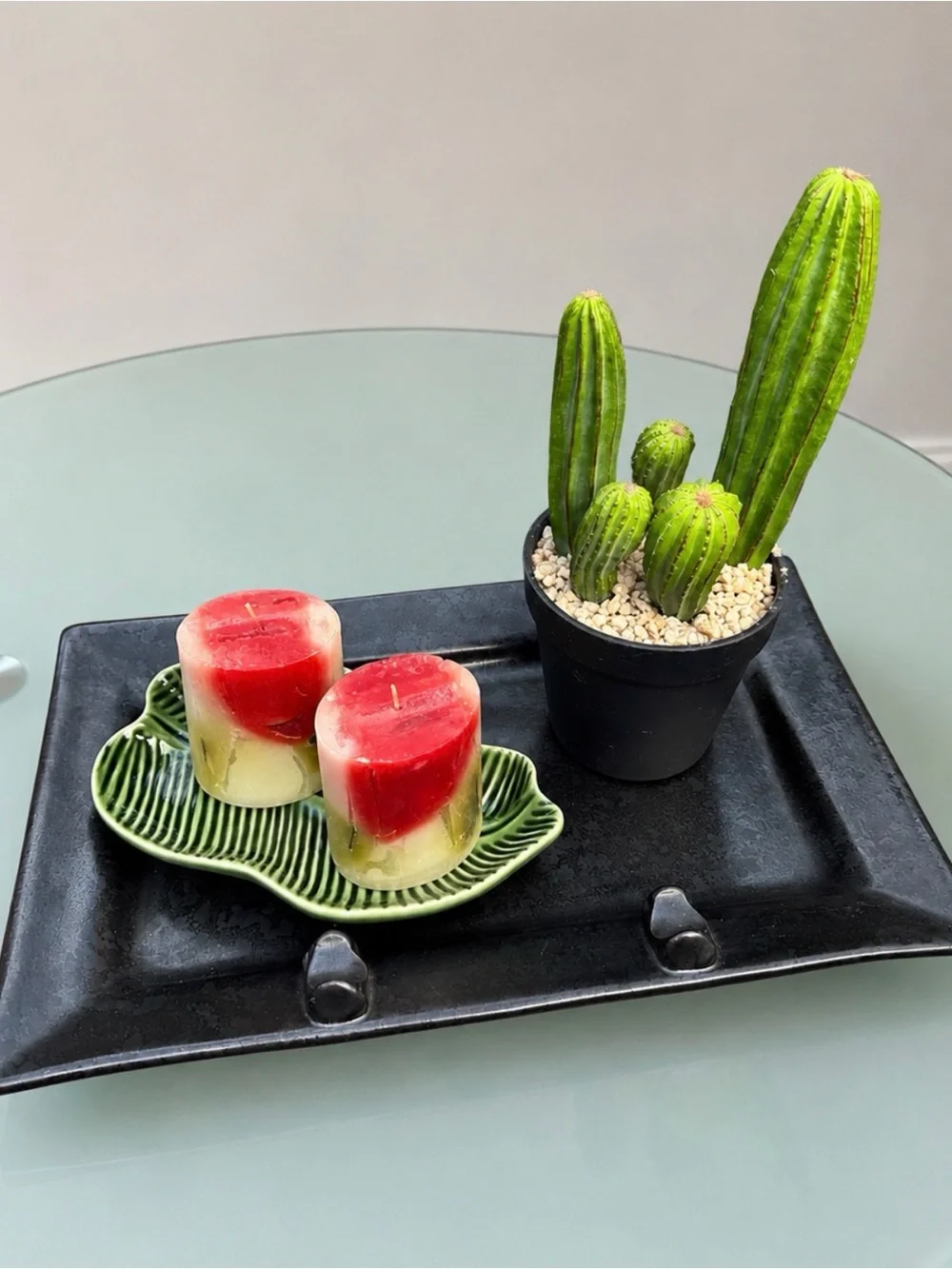 Cactus Green Decor arranged paired leaf