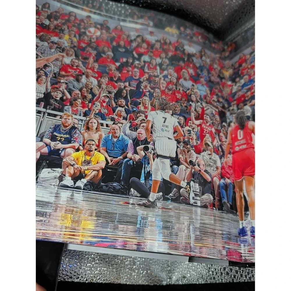 Panini, WNBA no cards